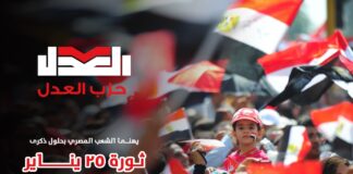 لا شك أن ثورة 25 يناير 2011م، مثلت ولا تزال علامة فارقة في التاريخ المصري المعاصر، حيث انتفض شباب الوطن رافعين شعار “عيش، حرية، عدالة اجتماعية”.