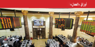 كيف يسهم برنامج الطروحات في الخروج من الأزمة الحالية؟…الآليات اللازمة لإنجاح برنامج طروحات البورصة المنتظر