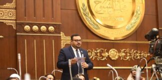 نائب رئيس العدل يطالب باسعاف نهري لخدمة اهالي جزر خزان أسوان والسائحين