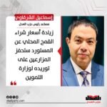 إسماعيل الشرقاوي: زيادة أسعار شراء القمح المحلي عن المستورد ستحفز المزارعين على توريده لوزارة التموين