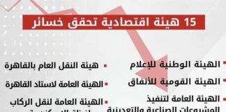 ١٥ هيئة اقتصادية تحقق خسائر