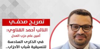 في الذكرى السادسة لتنسيقية شباب الأحزاب.. النائب أحمد القناوي: واحدة من أهم التجارب السياسية في مصر