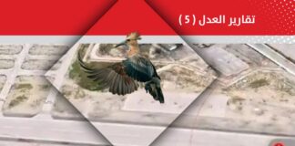 هذا ما عاد به الهدهد