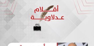 أساليب توطين صناعة ألواح الطاقة الشمسية في مصر