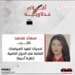 تحديات تنفيذ السياسات العامة في الدول النامية (نظرة أدبية)