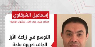 إسماعيل الشرقاوي: التوسع في زراعة الأرز الجاف ضرورة ملحة لترشيد استهلاك المياه