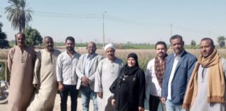 استجابة لمطالب نائبة حزب العدل…عمل سور حديدي حول كوبري الجديدة