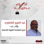 عبد العزيز الشناوي يكتب: نحو استعادة القوة الناعمة