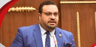 النائب أحمد القناوي يطالب بوضع خطة استراتيجية للصناعة المصرية