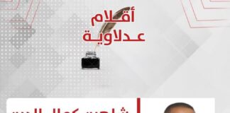 شاهين كمال الدين يكتب: “من الوعود إلى الخيبة.. هل يغيرالناخبين خريطة نوابهم؟”