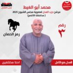 مرشحا عن حزب للعدل بالأقصر.. محمد أبو الغيط يتقدم بأوراق ترشحه لمجلس الشيوخ