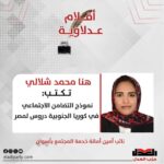 هنا محمد شلالي تكتب: نموذج التضامن الاجتماعي في كوريا الجنوبية دروس لمصر