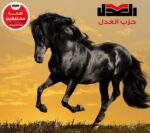 بعد إلغاء نتائج 19 دائرة.. حزب “العدل” يعلن خريطة مرشحيه في معركة الإعادة