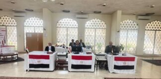 فتح باب الاقتراع في انتخابات مجلس الشيوخ للمصريين بالخارج