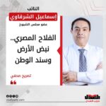 النائب إسماعيل الشرقاوي الفلاح المصري.. نبض الأرض وسند الوطن