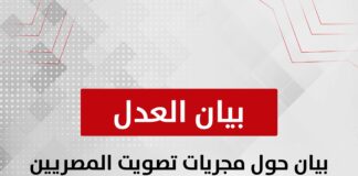 بيان حول مجريات تصويت المصريين بالخارج خلال المرحلة الثانية لانتخابات مجلس النواب ٢٠٢٥
