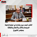 النائب أحمد سيد يشارك في اجتماع لجنة السياحة والآثار والإعلام والثقافة بمجلس الشيوخ