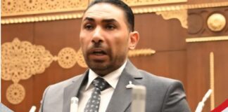 برلمانية العدل ترفض تعديلات قانون الكهرباء : العقوبات تُحمل المواطن البسيط أعباء غير عادله