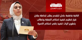 النائبة فاطمة عادل تتقدم بطلب إحاطة بشأن قرار تنظيم تنفيذ أحكام النفقة وتطالب بتطوير آليات تنفيذ باقي أحكام الأسرة