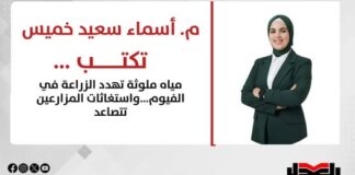 م. أسماء سعيد خميس مياه ري ملوثة تهدد الزراعة في الفيوم… واستغاثات المزارعين تتصاعد
