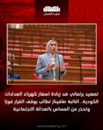 تصعيد برلماني ضد زيادة أسعار كهرباء العدادات الكودية.. النائبة صافيناز تطالب بوقف القرار فورًا وتحذر من المساس بالعدالة الاجتماعية