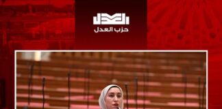 تصعيد برلماني ضد زيادة أسعار كهرباء العدادات الكودية.. النائبة صافيناز تطالب بوقف القرار فورًا وتحذر من المساس بالعدالة الاجتماعية