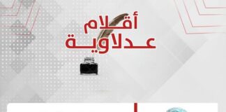 سلوى عثمان تكتب: زفّة قانون الأحوال الشخصية… بين “هُنَّ” و”هؤلاء”