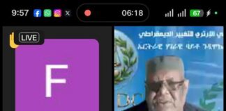 في ذكرى استقلال إريتريا.. حزب العدل يؤكد رفض التدخلات الخارجية في شؤون الدول الإفريقية