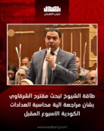 طاقة الشيوخ تبحث مقترح الشرقاوي بشأن مراجعة آلية محاسبة العدادات الكودية الأسبوع المقبل